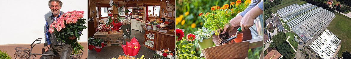 impressionen